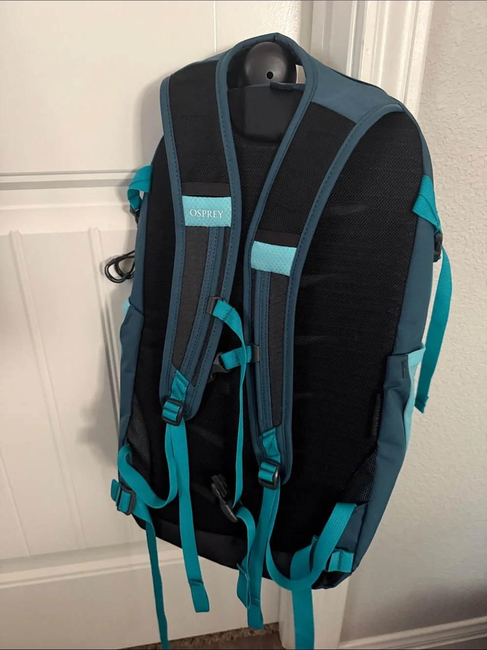 OSPREY Teal and Dark Teal Backpack - Daypack Day Lite Plus